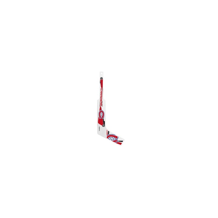 Mini crosse NHL Gardien Plastique