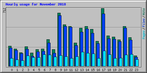 Hourly usage for November 2018