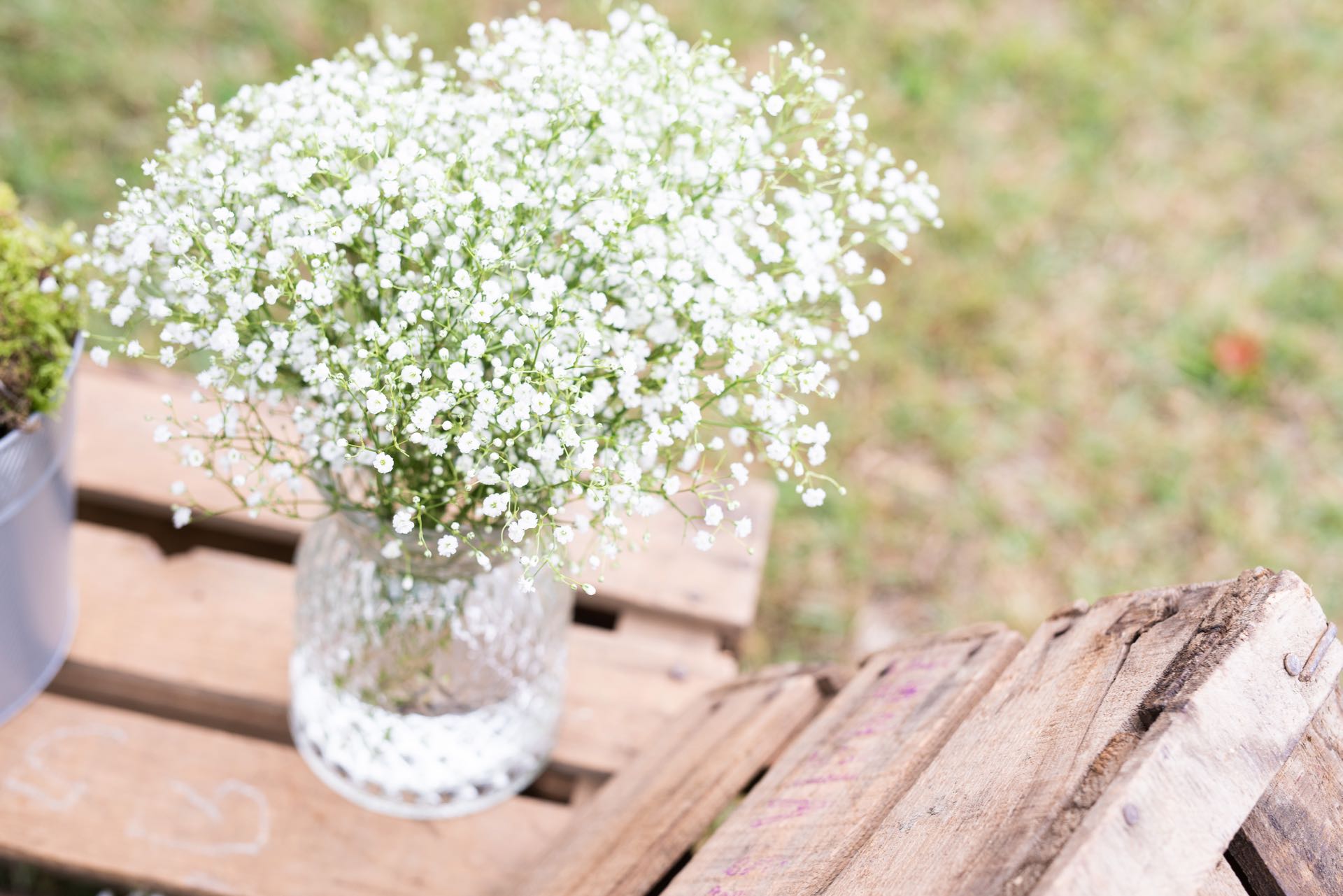 Gallery Item 1