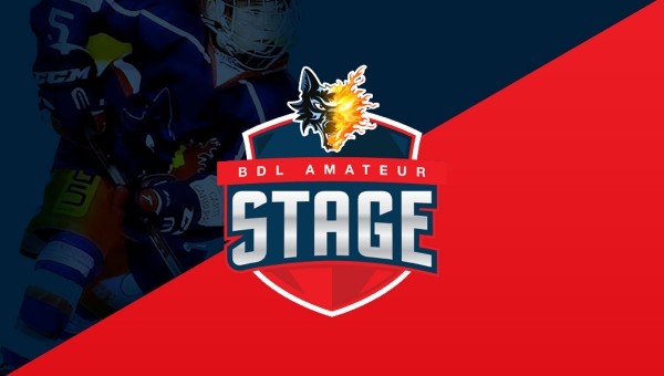 Stages des BDL