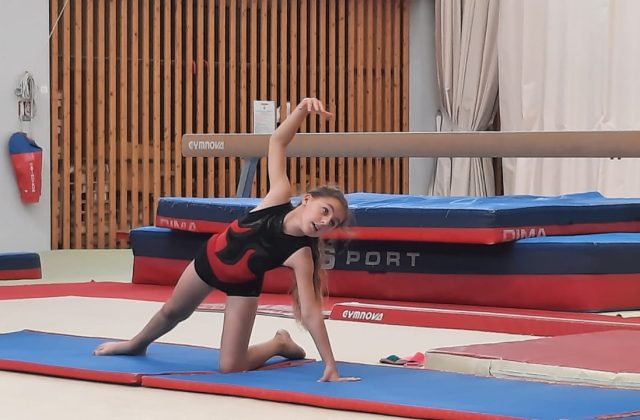 gym-perfectionnement-gieres-1.jpg