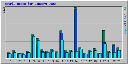 Hourly usage for January 2020