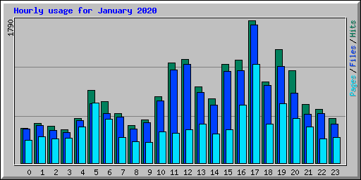 Hourly usage for January 2020