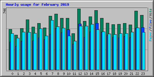 Hourly usage for February 2019