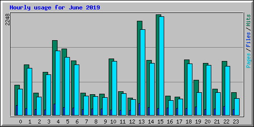 Hourly usage for June 2019