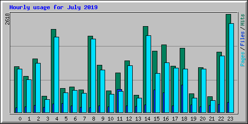 Hourly usage for July 2019