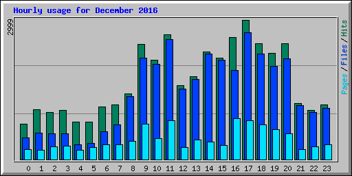 Hourly usage for December 2016