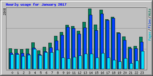 Hourly usage for January 2017