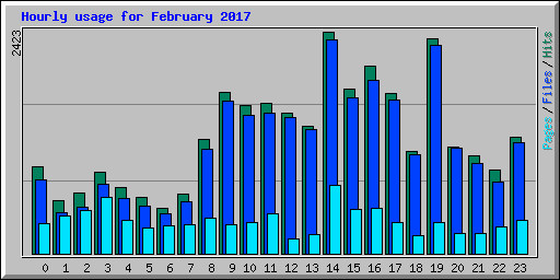 Hourly usage for February 2017